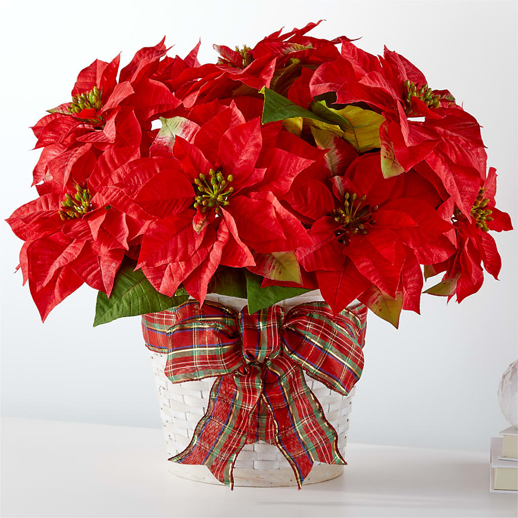Happiest Holidays Poinsettia – SKIPS FLORIST & GIFTS, Toms River NJ