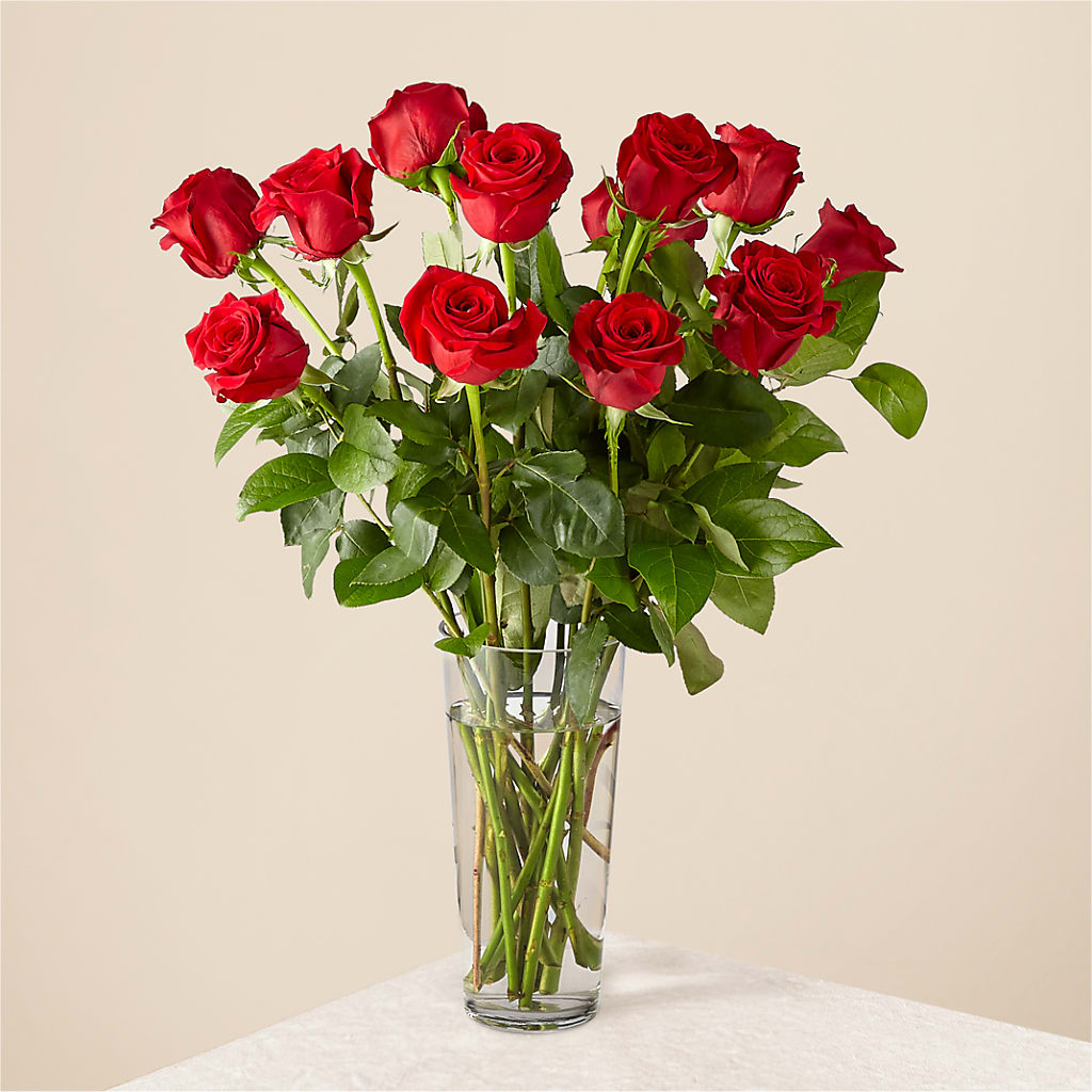 Long Stem Red Rose Bouquet – SKIPS FLORIST & GIFTS, Toms River NJ