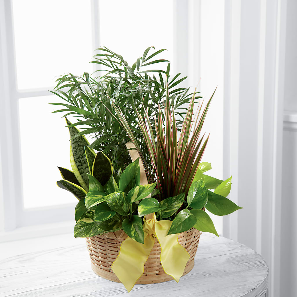 French Garden – SKIPS FLORIST & GIFTS, Toms River NJ