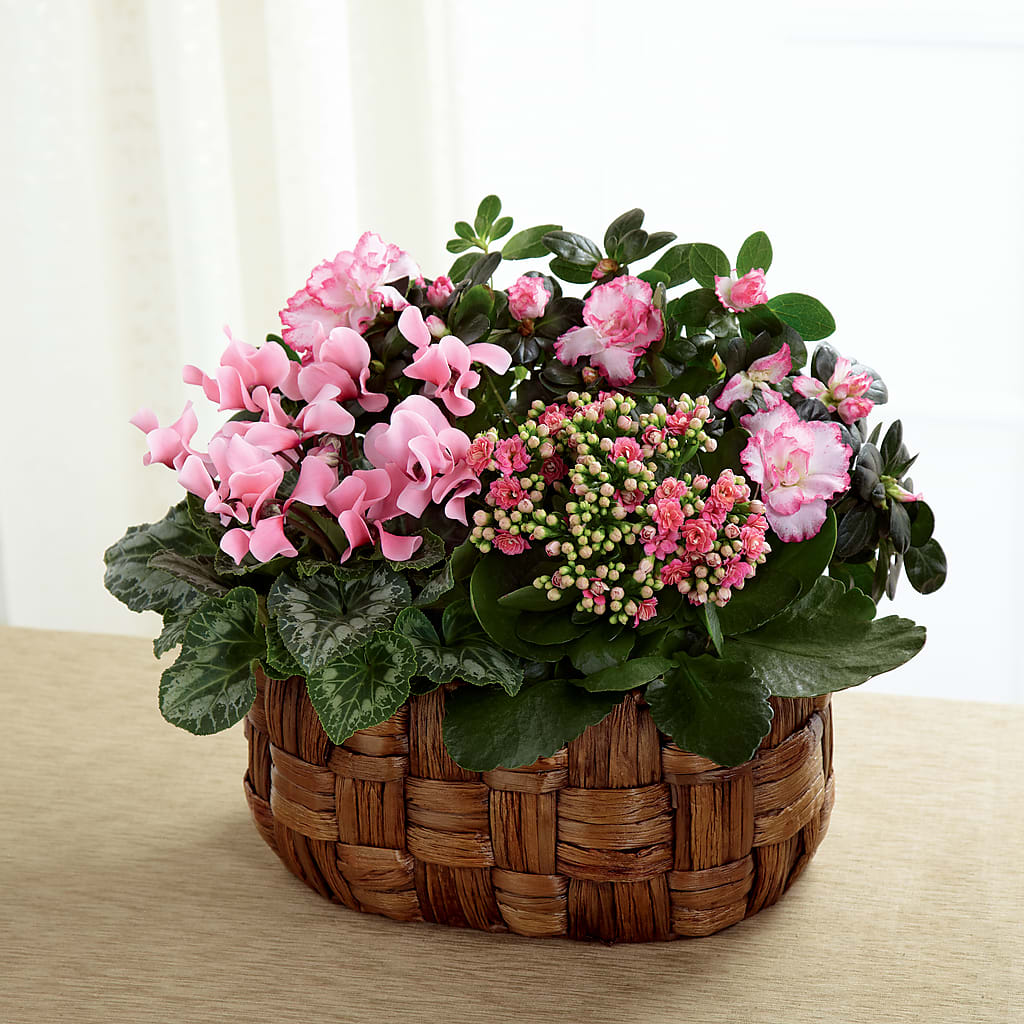 Pink Assortment – SKIPS FLORIST & GIFTS, Toms River NJ
