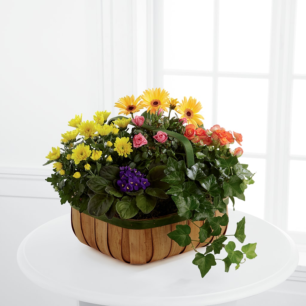Gentle Blossoms Basket – SKIPS FLORIST & GIFTS, Toms River NJ