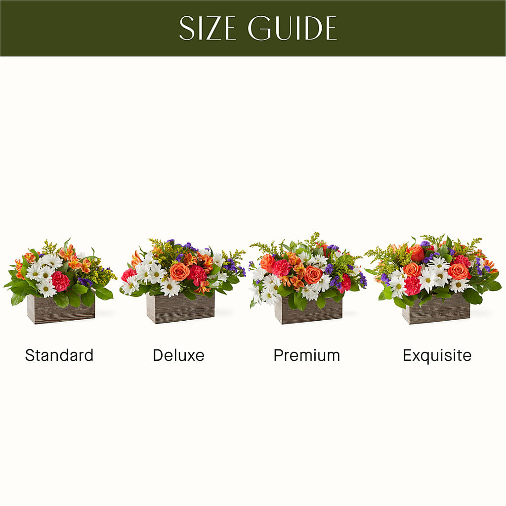 Oopsie Daisy Box Bouquet – SKIPS FLORIST & GIFTS, Toms River NJ