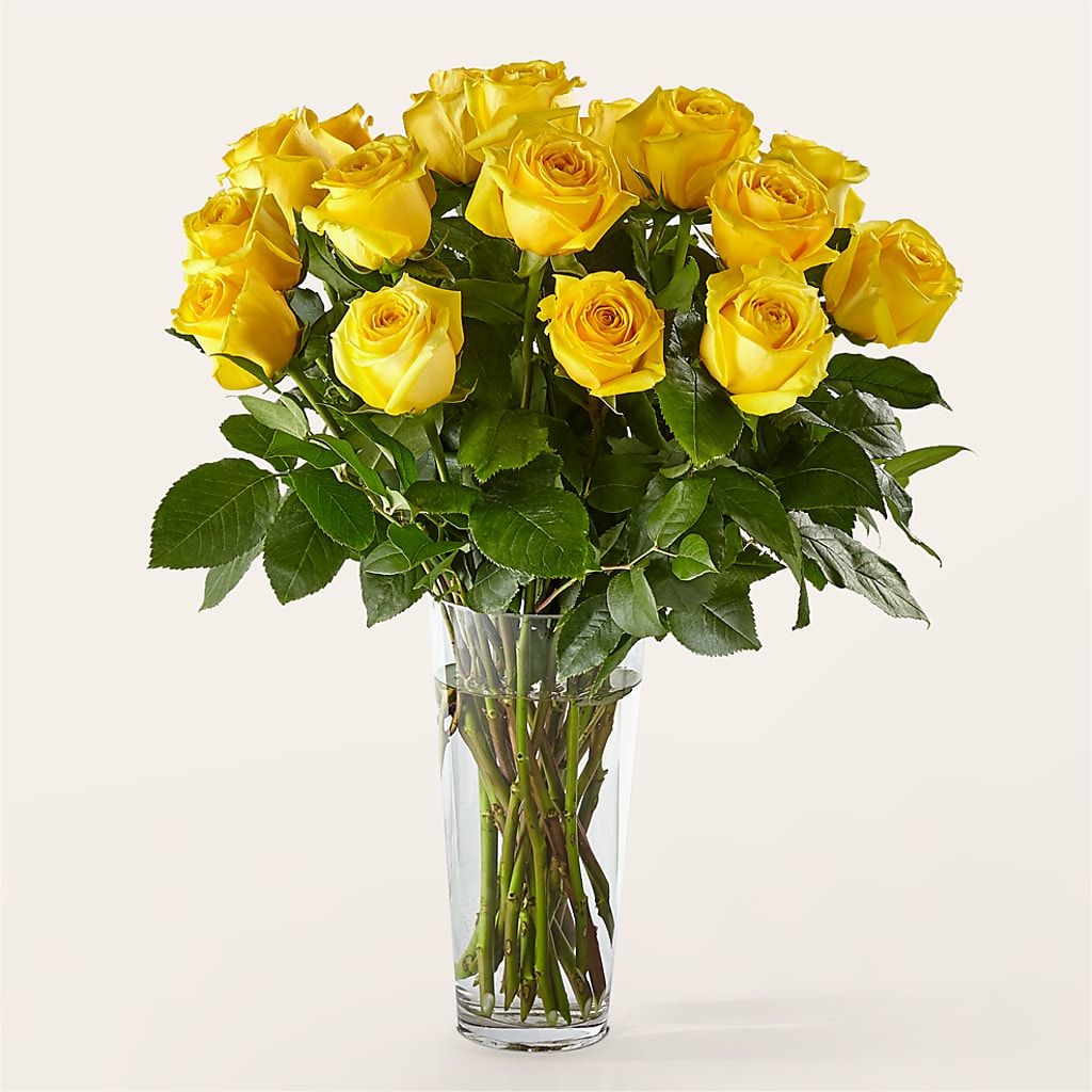 Long Stem Yellow Rose Bouquet – SKIPS FLORIST & GIFTS, Toms River NJ
