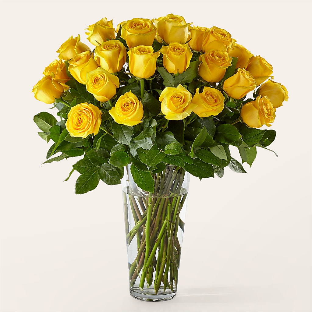Long Stem Yellow Rose Bouquet – SKIPS FLORIST & GIFTS, Toms River NJ