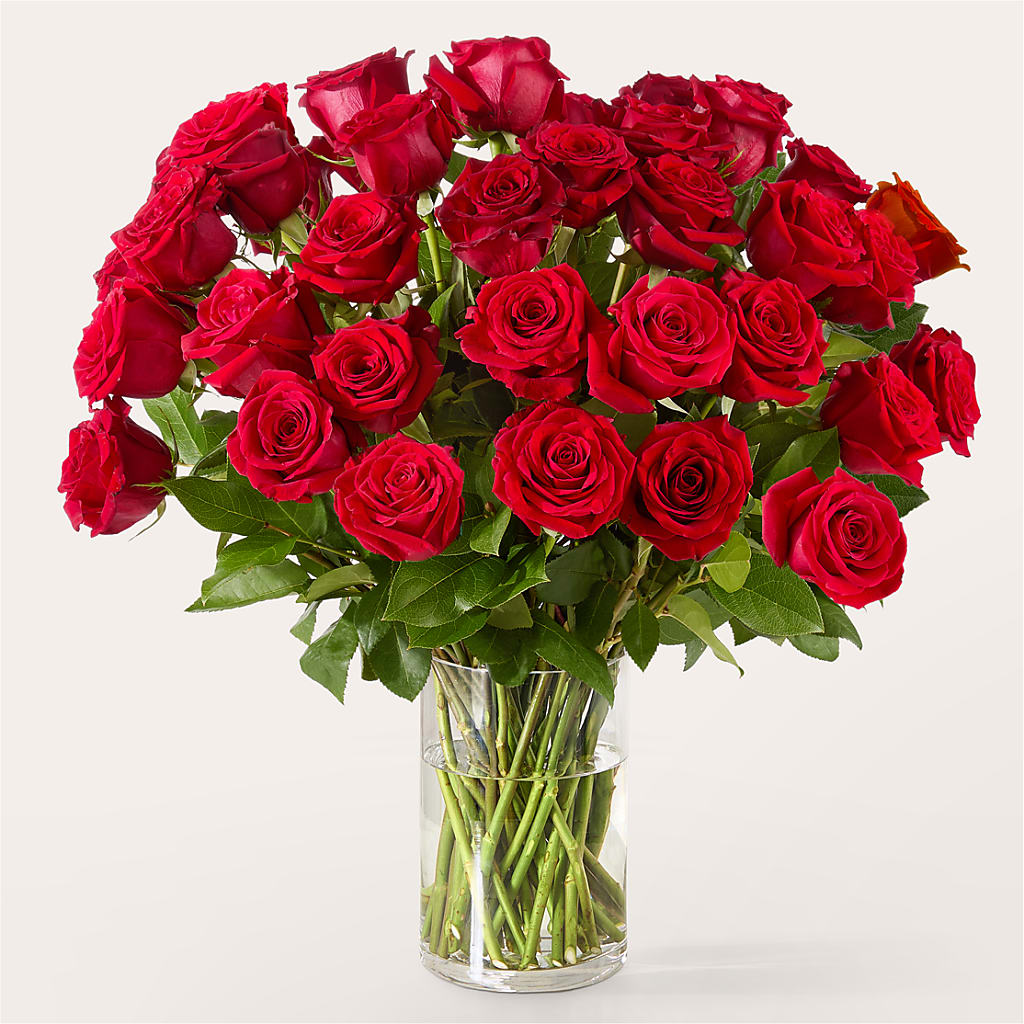 The One Red Rose Bouquet – SKIPS FLORIST & GIFTS, Toms River NJ
