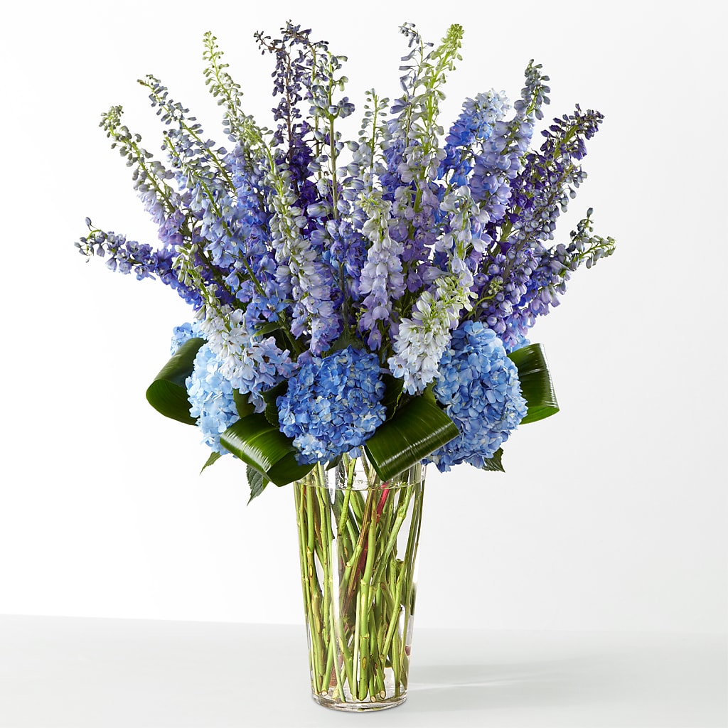 The Editorial – SKIPS FLORIST & GIFTS, Toms River NJ