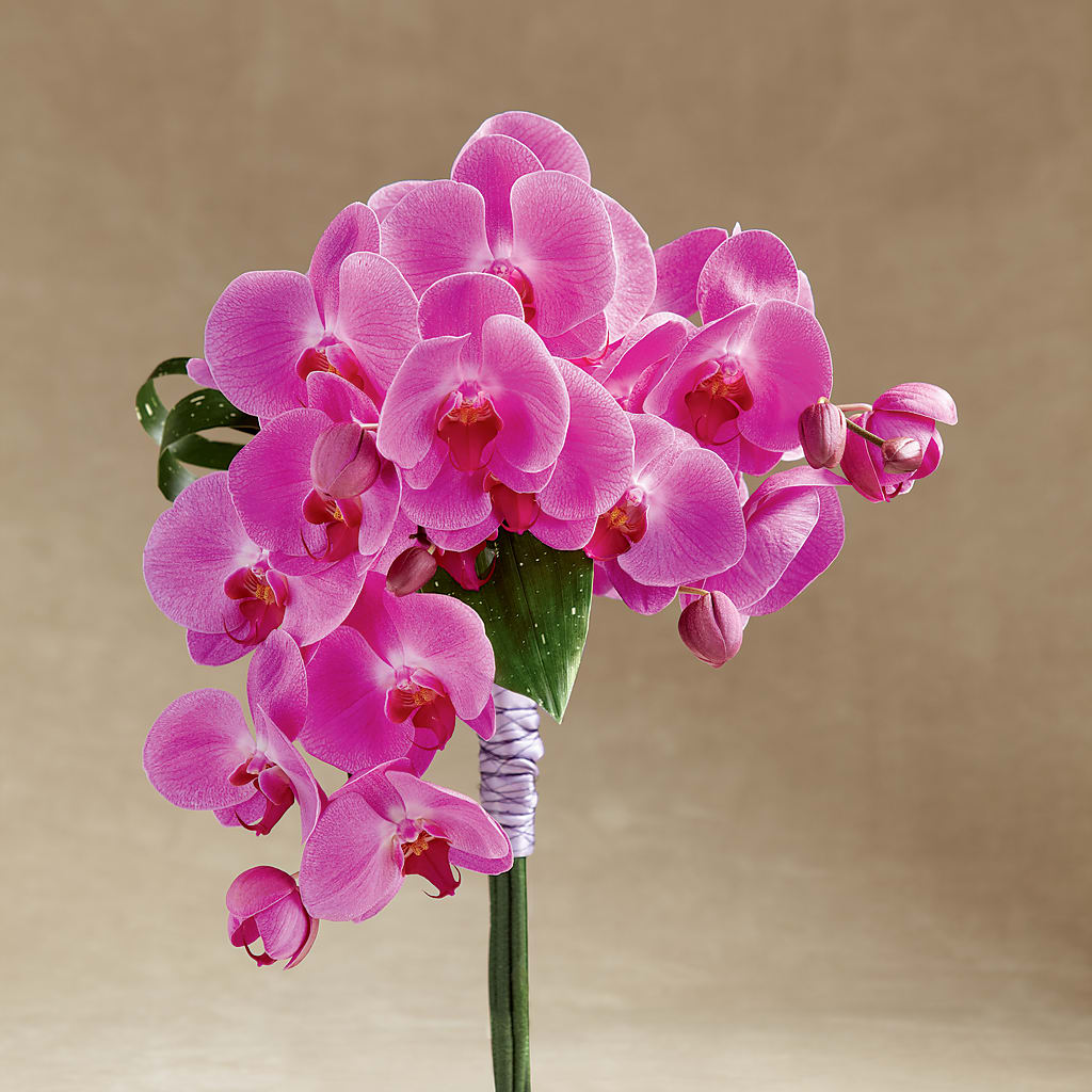 Glorious Bouquet – SKIPS FLORIST & GIFTS, Toms River NJ