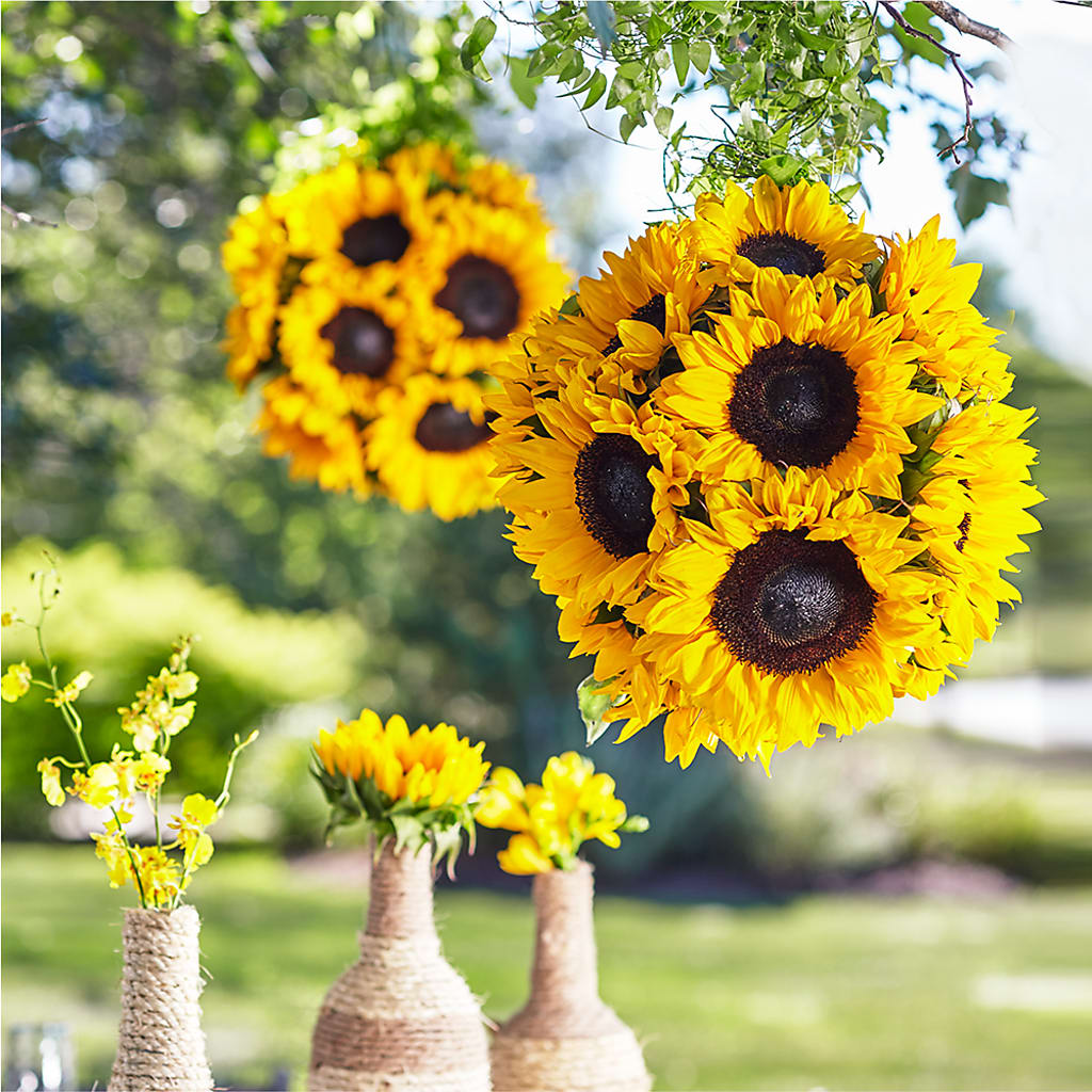 Sublime Garden Hanging Arrangement – SKIPS FLORIST & GIFTS, Toms River NJ