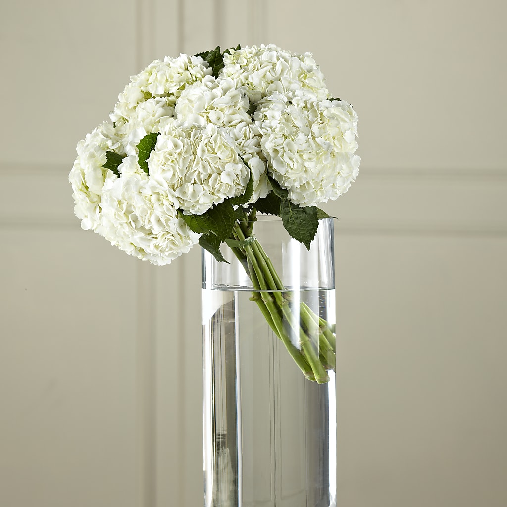 White Hydrangea Hand-Tied Bouquet – SKIPS FLORIST & GIFTS, Toms River NJ