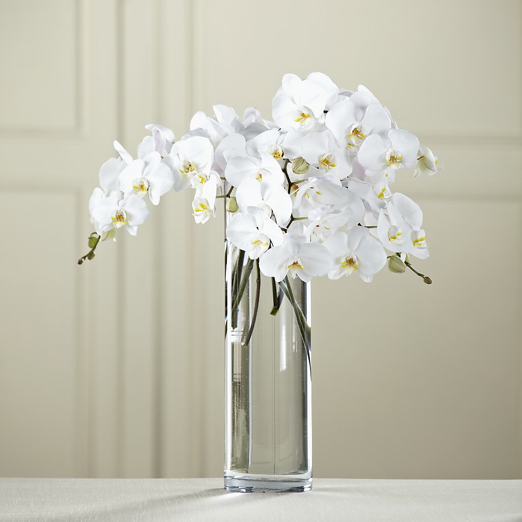 White Phalaenopsis Bouquet – SKIPS FLORIST & GIFTS, Toms River NJ