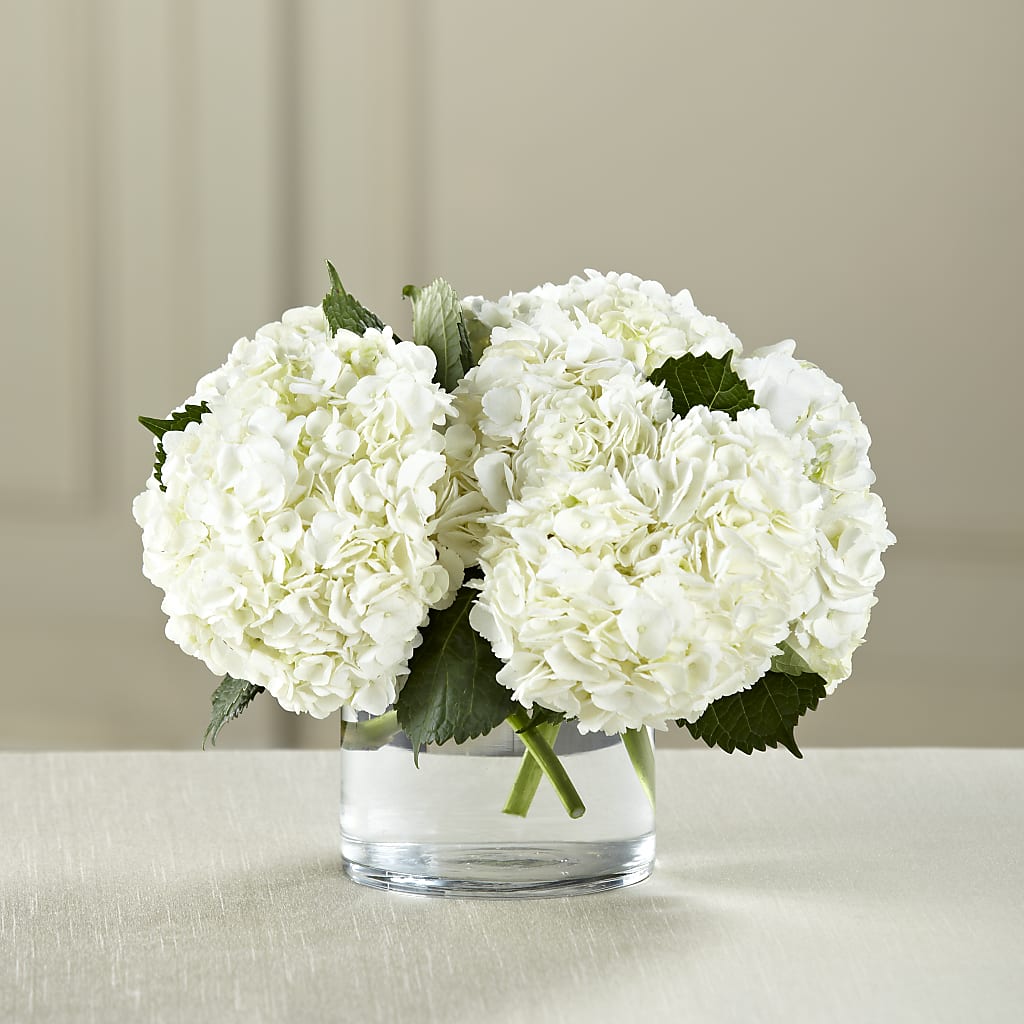 White Hydrangea Bouquet – SKIPS FLORIST & GIFTS, Toms River NJ