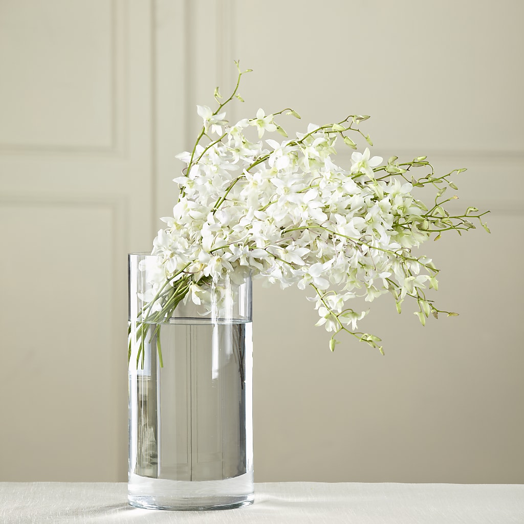 White Dendrobium Bouquet – SKIPS FLORIST & GIFTS, Toms River NJ