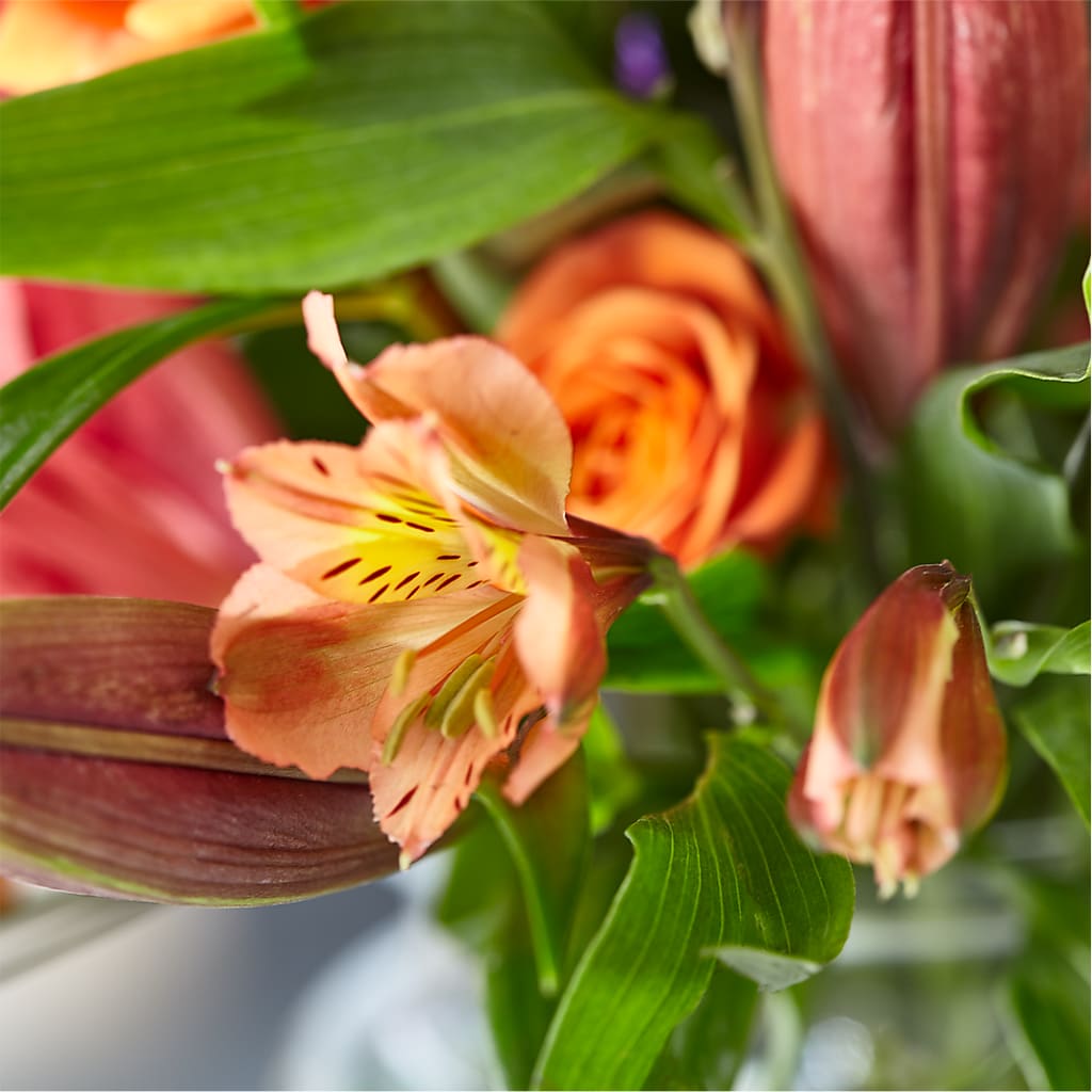 Bold & Bright – A Florist Original – SKIPS FLORIST & GIFTS, Toms River NJ