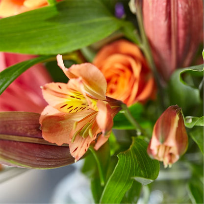 Bold & Bright – A Florist Original – SKIPS FLORIST & GIFTS, Toms River NJ