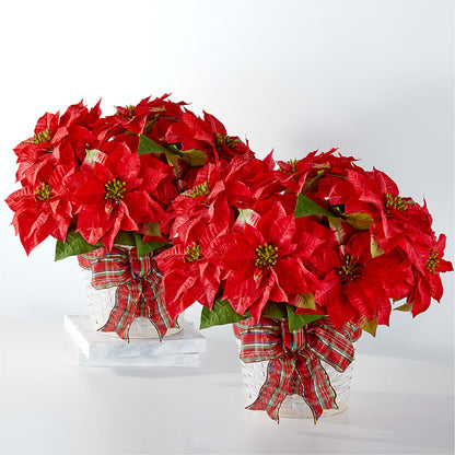 Happiest Holidays Poinsettia Bundle – SKIPS FLORIST & GIFTS, Toms River NJ