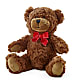 Adorable Plush Bear – SKIPS FLORIST & GIFTS, Toms River NJ