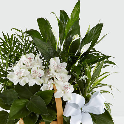 Peace & Serenity Dishgarden – SKIPS FLORIST & GIFTS, Toms River NJ