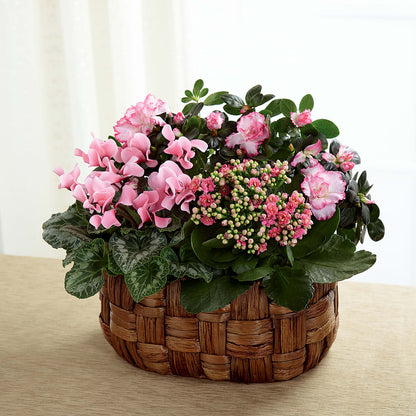 Pink Assortment – SKIPS FLORIST & GIFTS, Toms River NJ