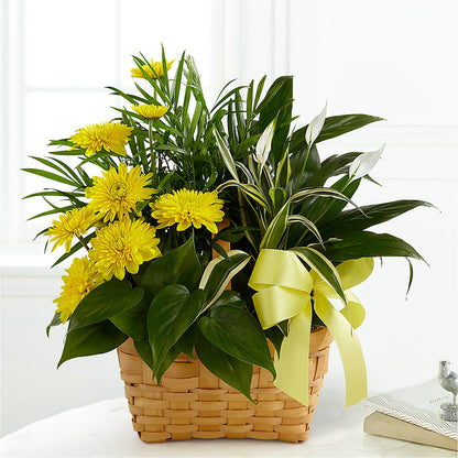 Loving Light Dishgarden – SKIPS FLORIST & GIFTS, Toms River NJ
