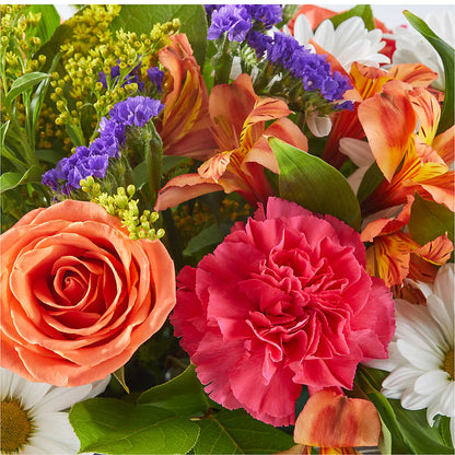 Oopsie Daisy Box Bouquet – SKIPS FLORIST & GIFTS, Toms River NJ