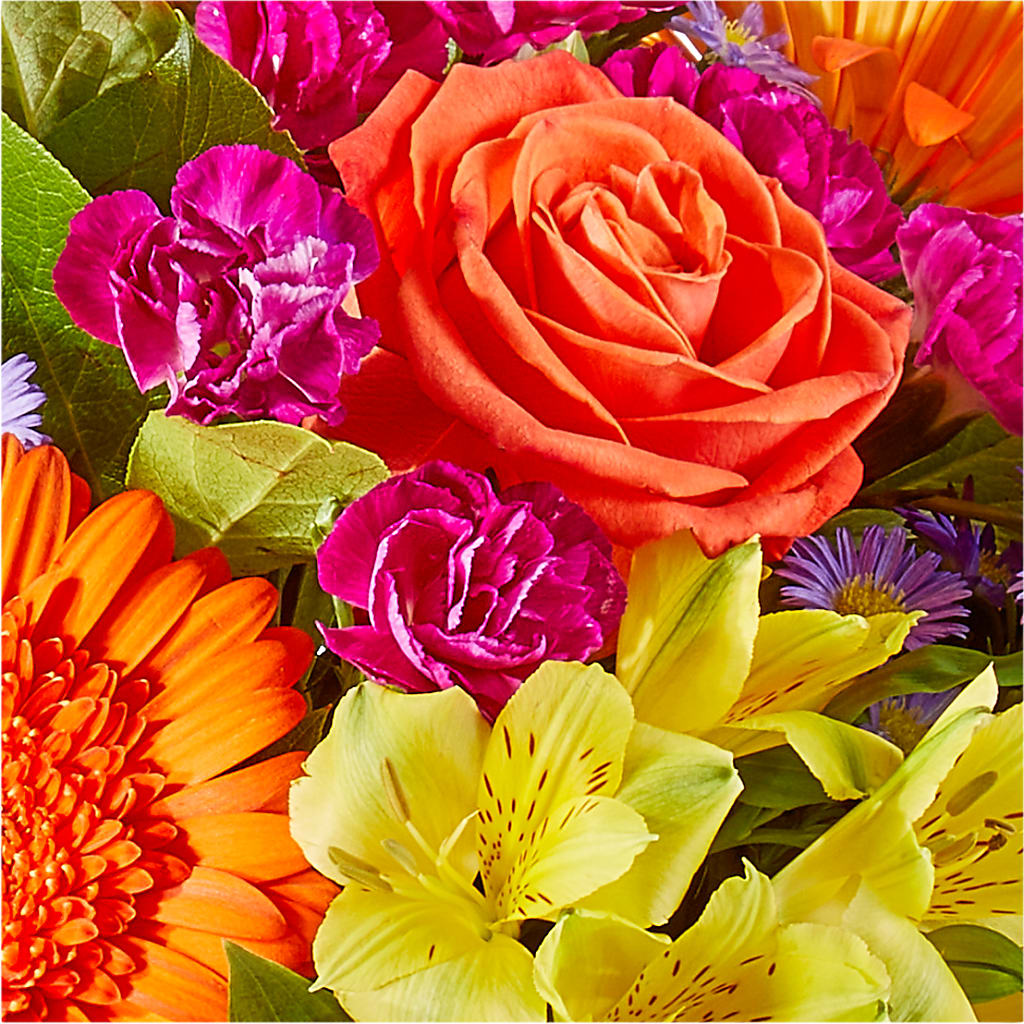 Tricks & Treats Pumpkin – SKIPS FLORIST & GIFTS, Toms River NJ