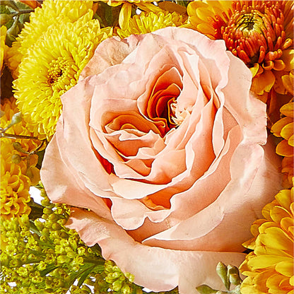 Peachy Pumpkin – SKIPS FLORIST & GIFTS, Toms River NJ