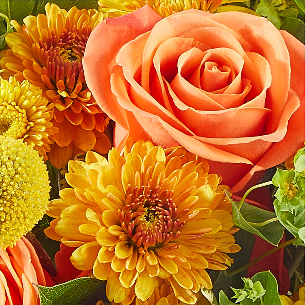 Gourdgeous Pumpkin – SKIPS FLORIST & GIFTS, Toms River NJ