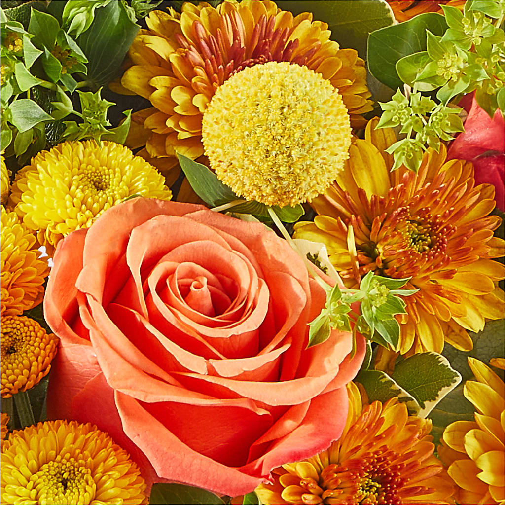 Gourdgeous Pumpkin – SKIPS FLORIST & GIFTS, Toms River NJ