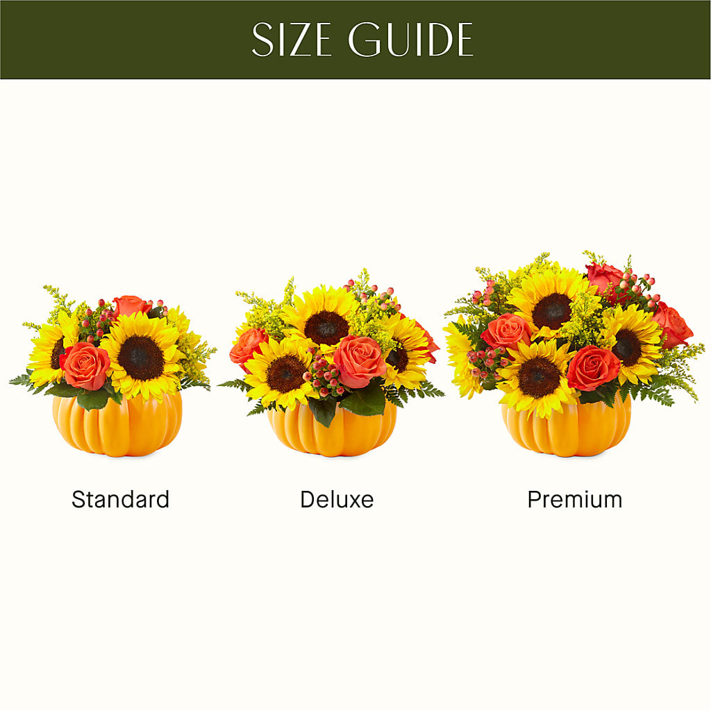 Pick of the Patch Pumpkin Bouquet – SKIPS FLORIST & GIFTS, Toms River NJ