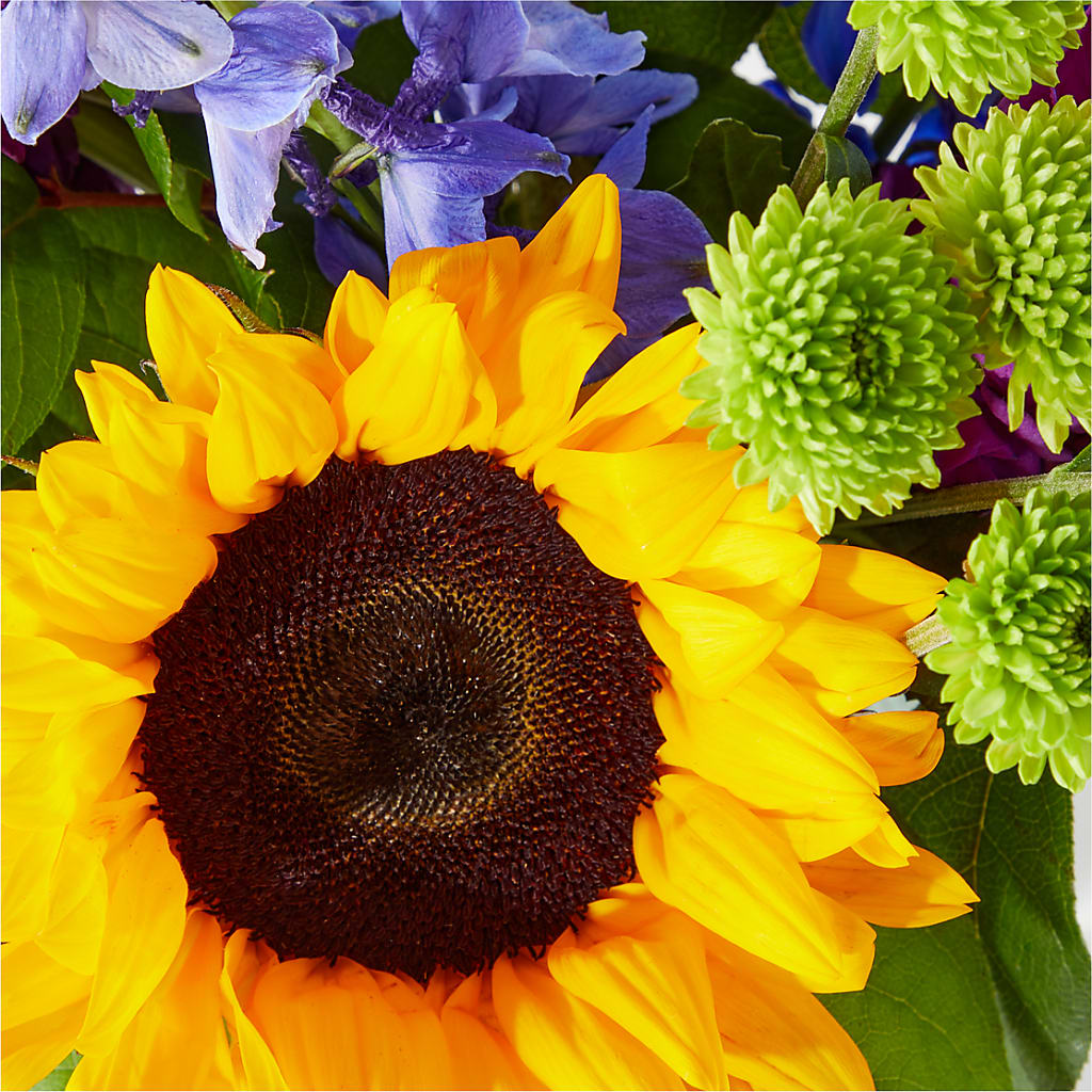Catching Rays Bouquet – SKIPS FLORIST & GIFTS, Toms River NJ