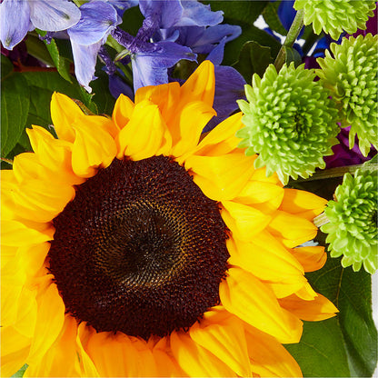 Catching Rays Bouquet – SKIPS FLORIST & GIFTS, Toms River NJ