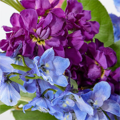 Twilight Glow Bouquet – SKIPS FLORIST & GIFTS, Toms River NJ