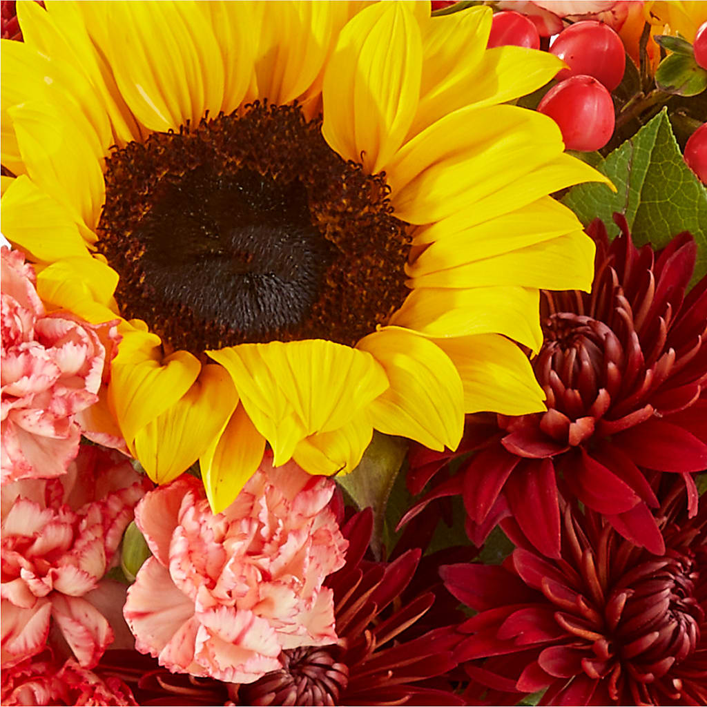 Fresh Cider Bouquet – SKIPS FLORIST & GIFTS, Toms River NJ