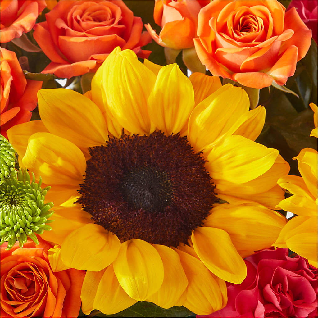 Sun-drenched Blooms Box Bouquet – SKIPS FLORIST & GIFTS, Toms River NJ
