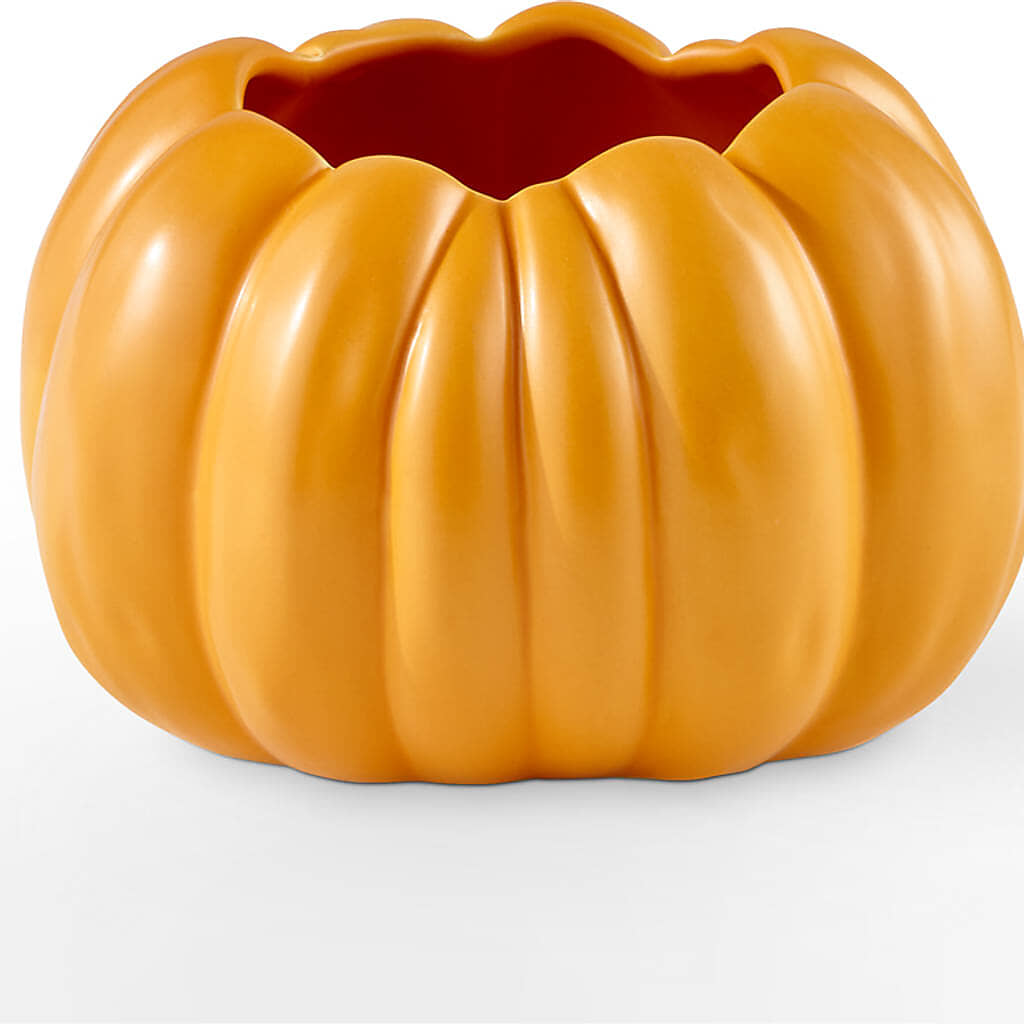 Golden Gourd Pumpkin Bouquet – SKIPS FLORIST & GIFTS, Toms River NJ