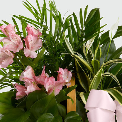 Living Spirit Dishgarden – SKIPS FLORIST & GIFTS, Toms River NJ