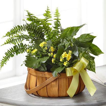 Always Dear Dishgarden – SKIPS FLORIST & GIFTS, Toms River NJ