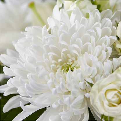 Classic Ivory – A Florist Original – SKIPS FLORIST & GIFTS, Toms River NJ