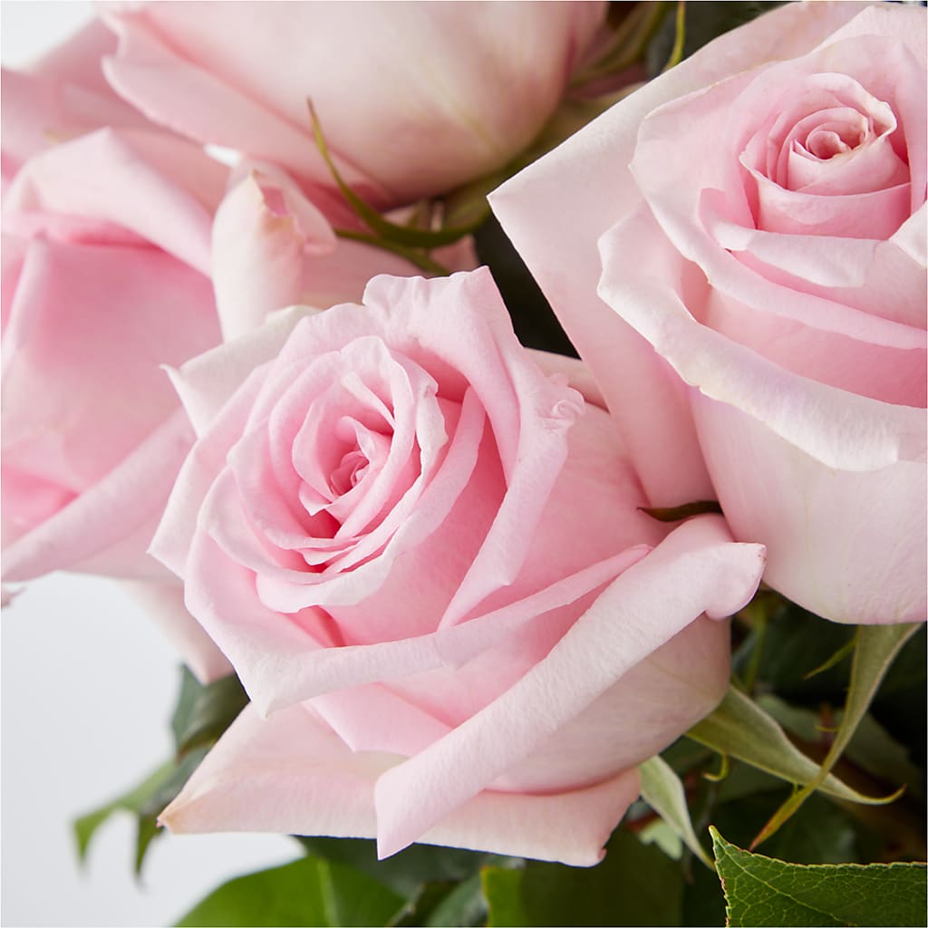 Picture Perfect Pink Rose Bouquet – SKIPS FLORIST & GIFTS, Toms River NJ