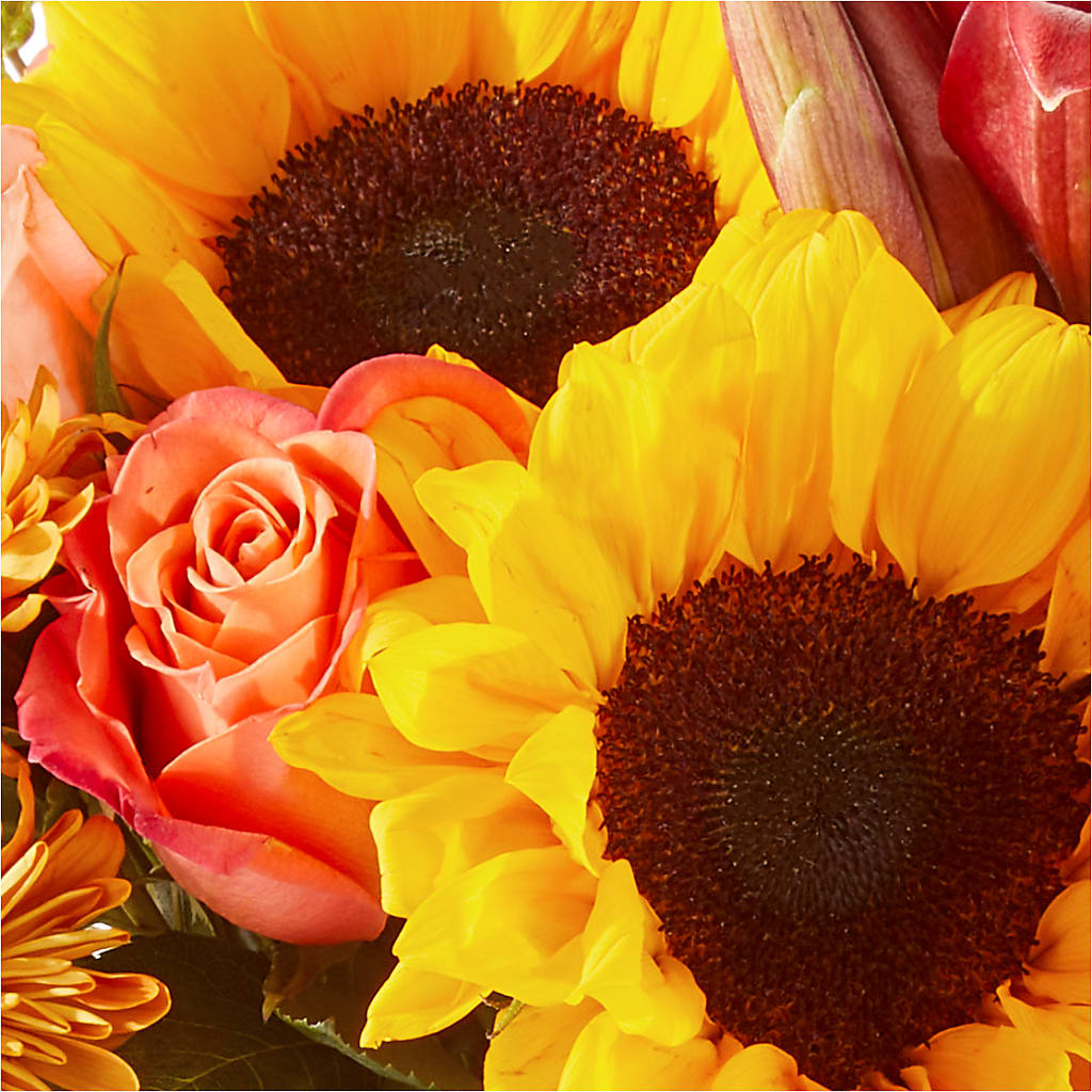 Acorn Lane Bouquet – SKIPS FLORIST & GIFTS, Toms River NJ