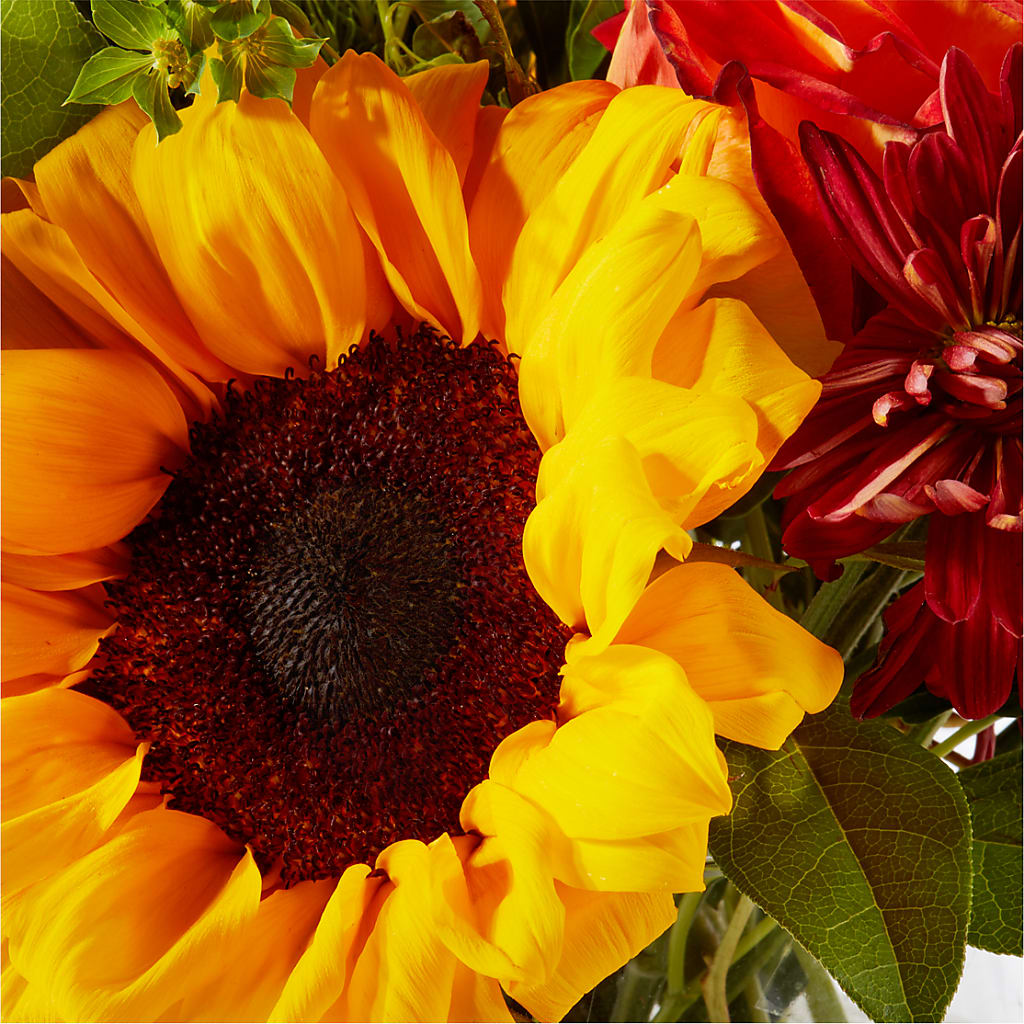 Harvest Festival Bouquet – SKIPS FLORIST & GIFTS, Toms River NJ