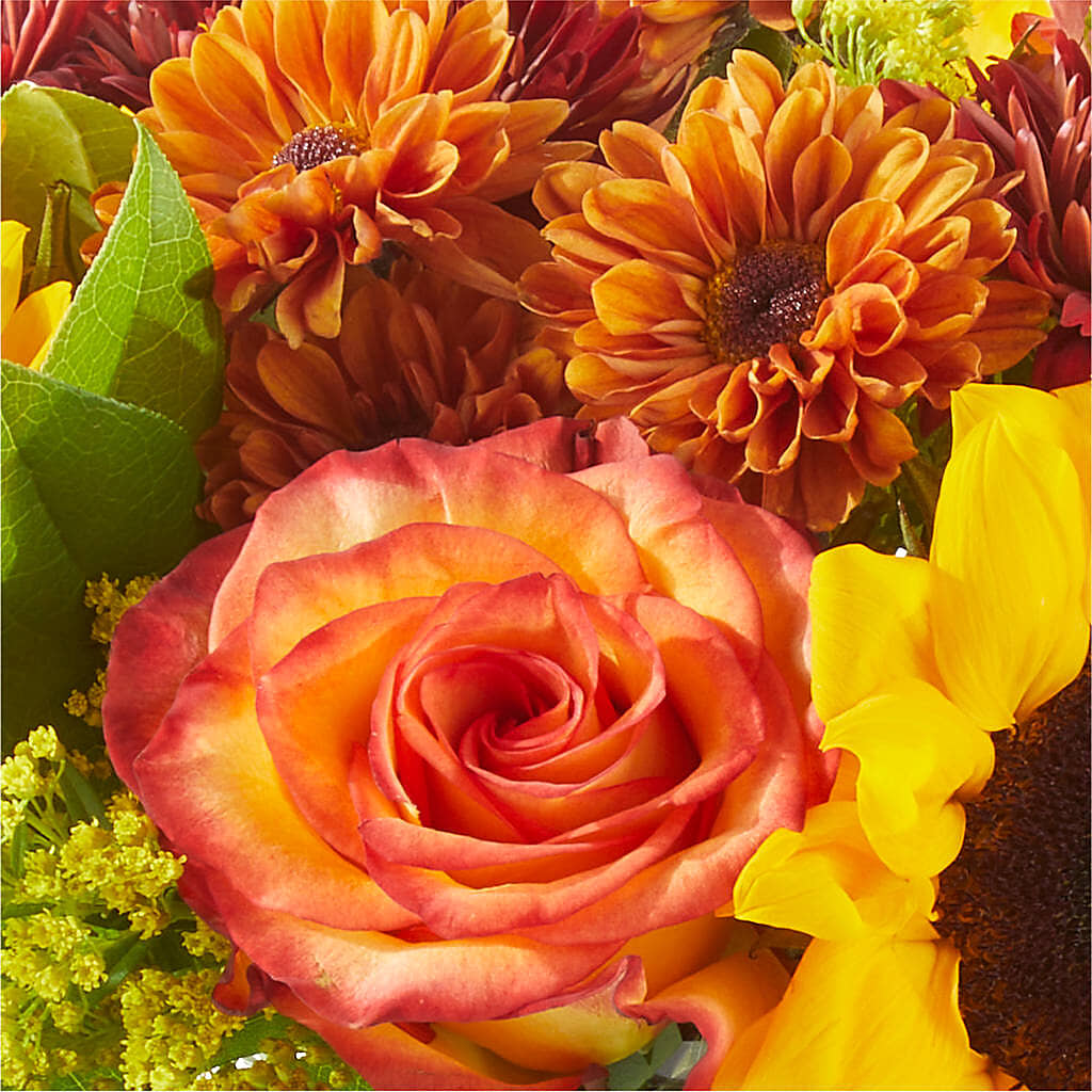 Flannel Scarf Bouquet – SKIPS FLORIST & GIFTS, Toms River NJ