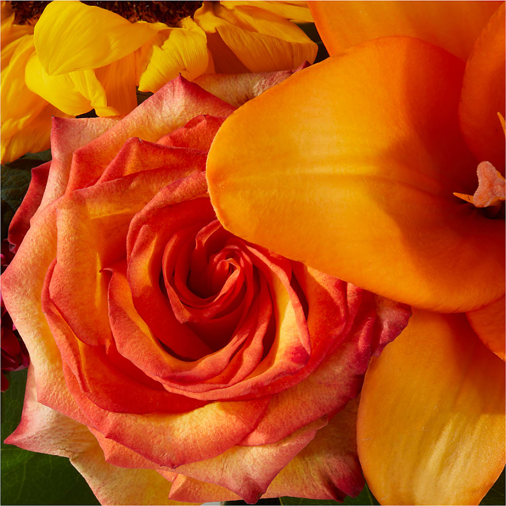 Grateful Centerpiece – SKIPS FLORIST & GIFTS, Toms River NJ