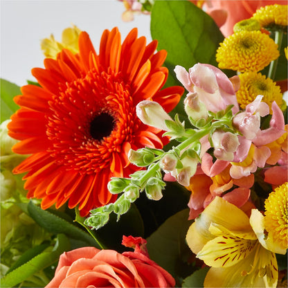 Autumn Sunshine Bouquet – SKIPS FLORIST & GIFTS, Toms River NJ