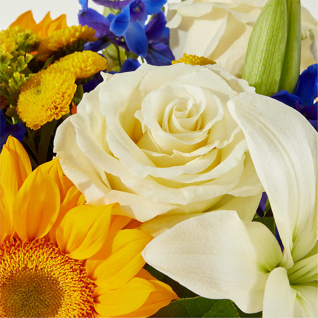 Stargazing Bouquet – SKIPS FLORIST & GIFTS, Toms River NJ