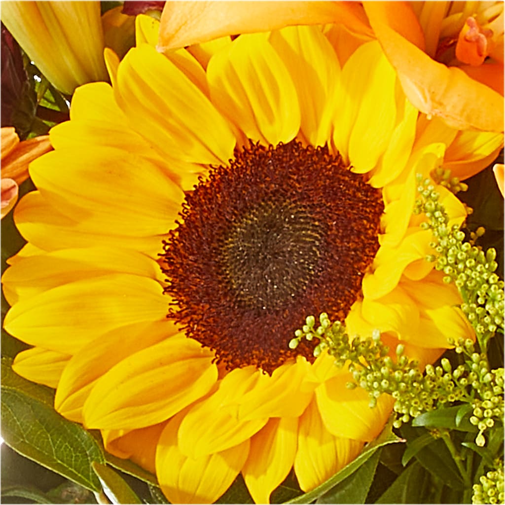 Seasons Change Bouquet – SKIPS FLORIST & GIFTS, Toms River NJ