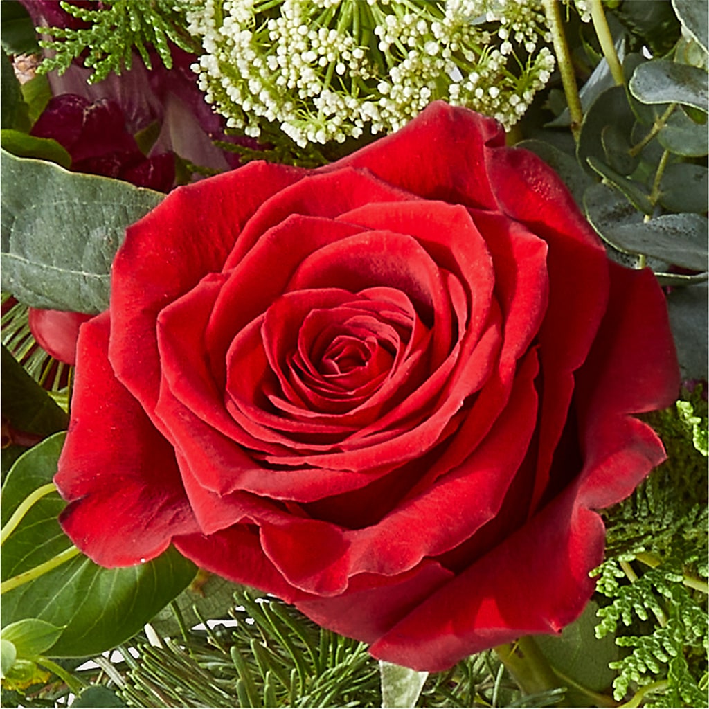 Cranberry Fizz Bouquet – SKIPS FLORIST & GIFTS, Toms River NJ