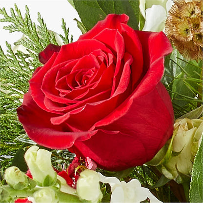 Deck the Halls Bouquet – SKIPS FLORIST & GIFTS, Toms River NJ