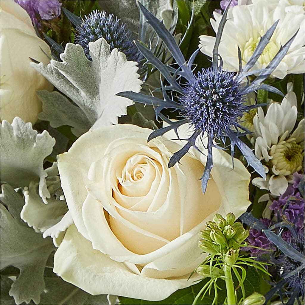 Shooting Star Bouquet – SKIPS FLORIST & GIFTS, Toms River NJ