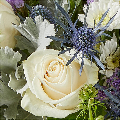 Shooting Star Bouquet – SKIPS FLORIST & GIFTS, Toms River NJ